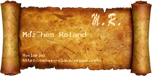 Méhes Roland névjegykártya